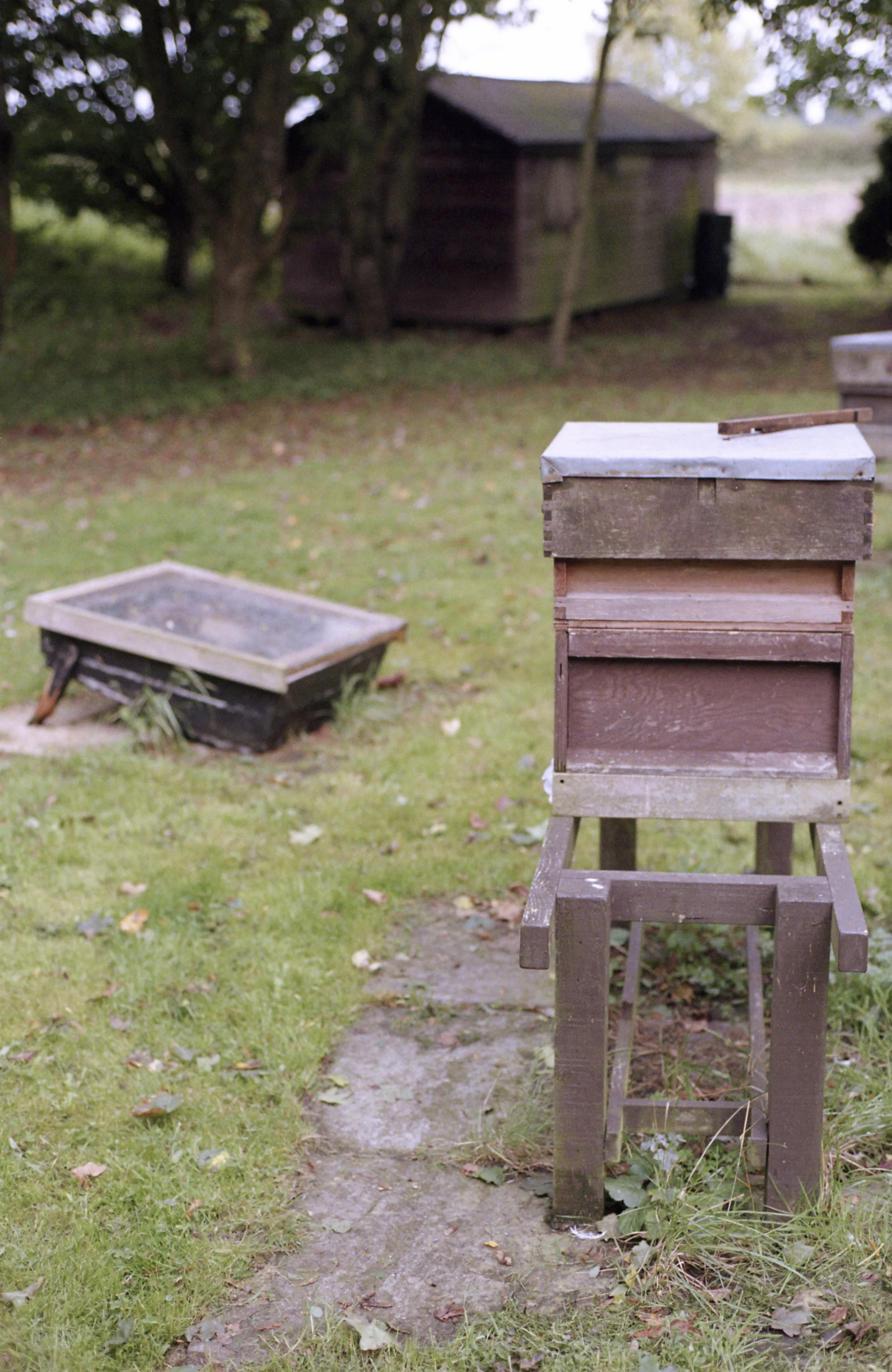 BEE 2-021.jpg