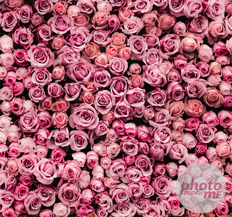 Pink Rose Fabric