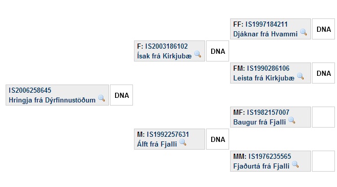 Pedigree hringja.jpg