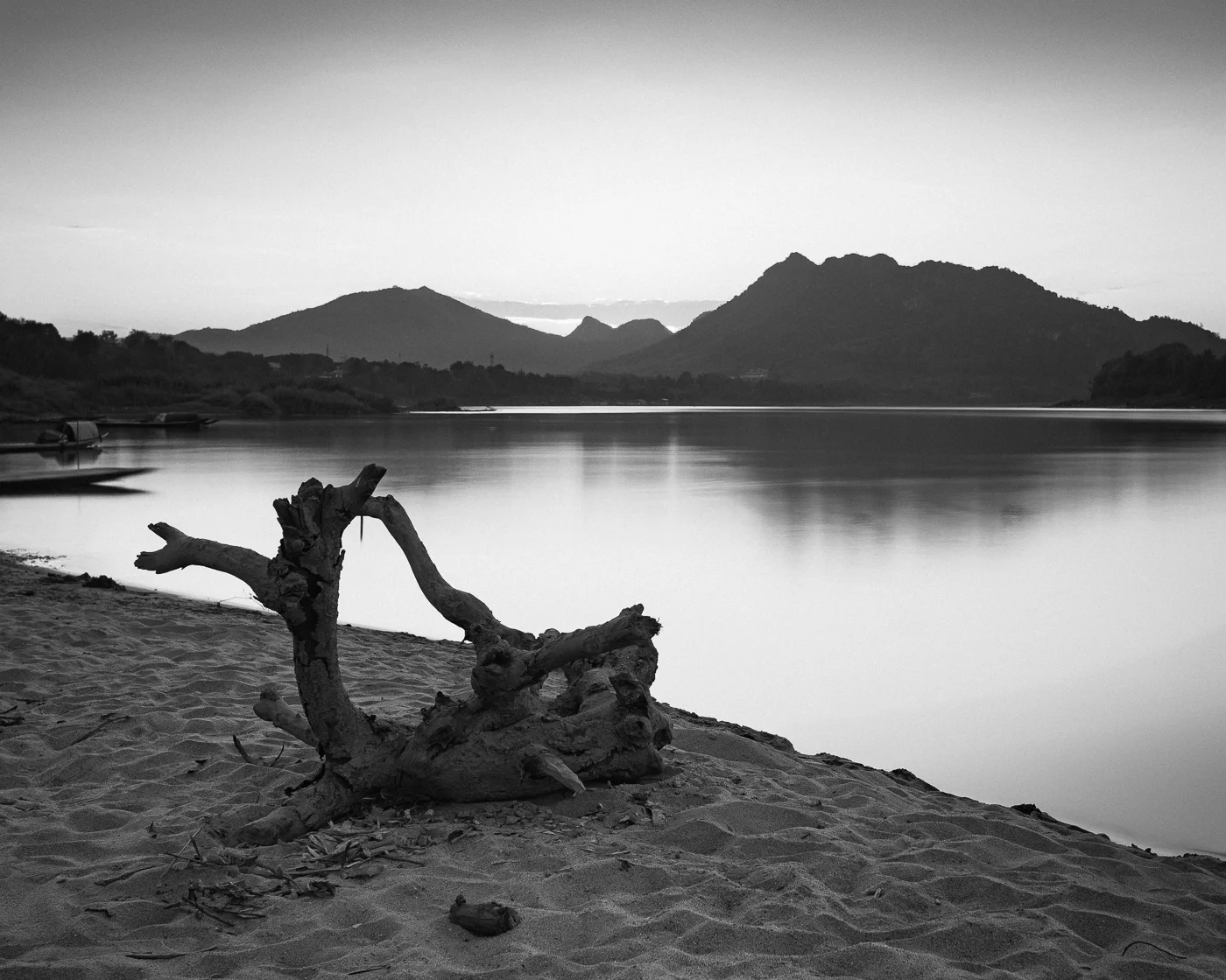 28. Driftwood on a Mekong beach