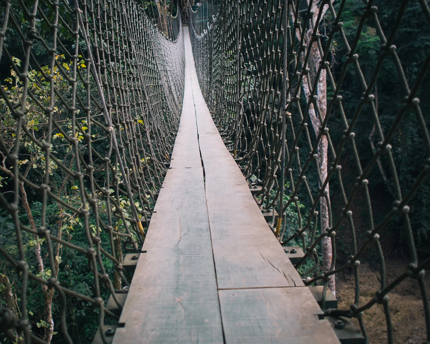 36. Wonderful bridge...I felt safe