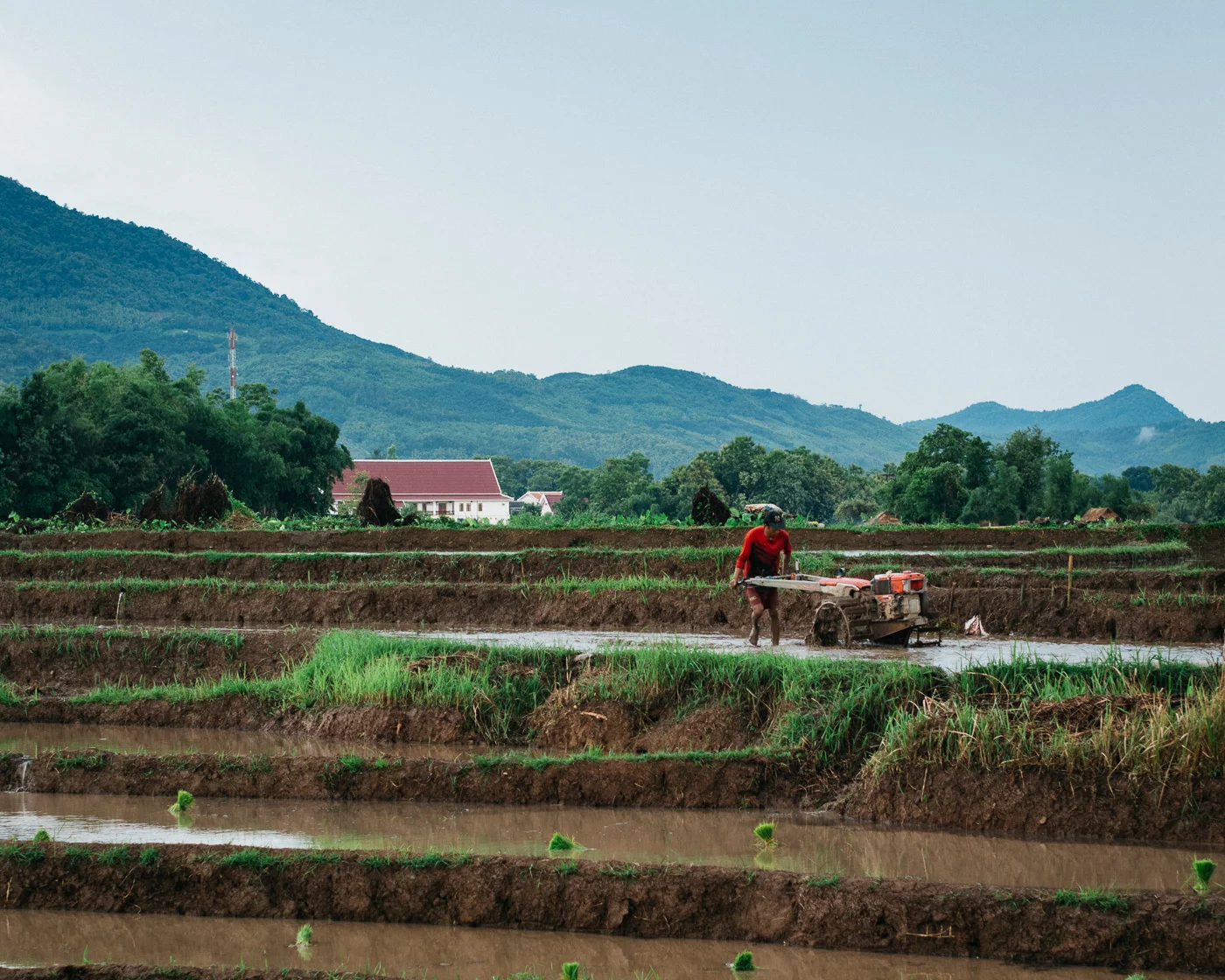 219. Preparing the land
