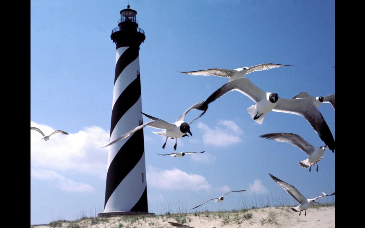 lighthouse.jpg