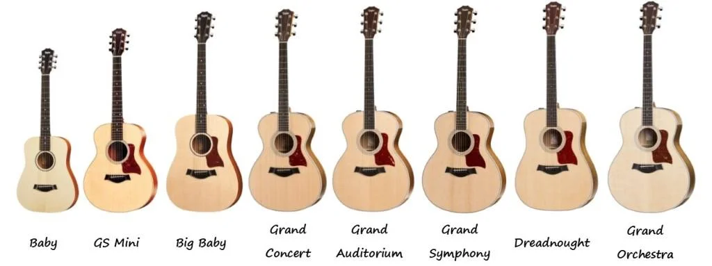 Taylor-Guitars sizes.jpg