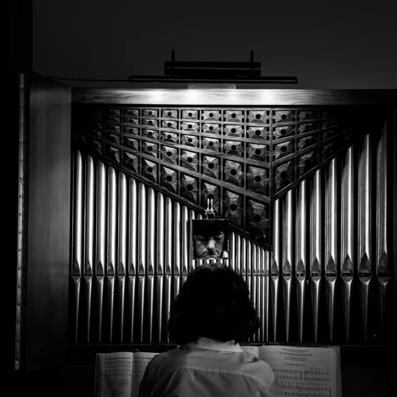 organ.jpg