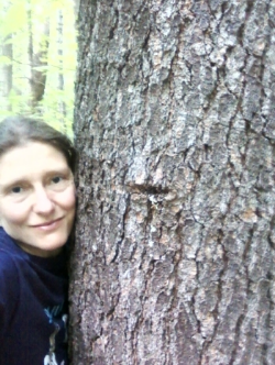 Hugging one of my favorite White Pines on the Red Sandstone Trail!