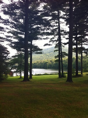 A White Pine Wellness Romp at Debar Pond, NY