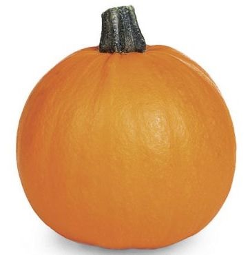 Sugar Pie Pumpkins
