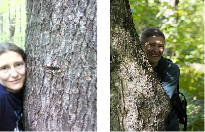  I really do hug trees!
