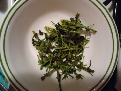The stems that I gently cooked first; why waste the nutrients?