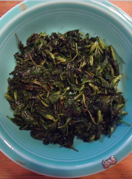 Cooked nettles waiting for me to consciously devour them.