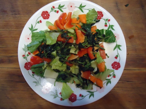 The finished salad with nettles scattered across the top.
