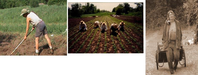 The farmers of Birdsfoot Farm, Canton, NY going about their daily tasks: moving, flexing, and strengthening their bodies all while creating something tangible... whole foods! Explore Birdsfoot Farm's website to see what they are up to and what they have to offer towards your healing plan!