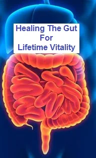 healing gut lifetime vitality.jpg