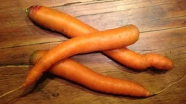 carrots.JPG