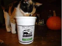 yogurt.JPG