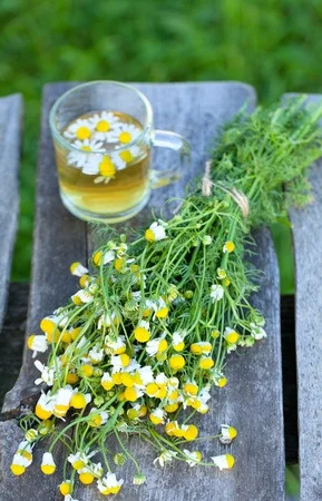 Create Constant Calm