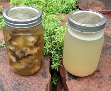 Bone Broth: What Is the Hype?