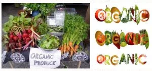 Organic Vs. Conventionally Grown Food