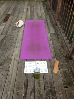 If 45 degrees F... yoga on the deck is my preferred place to practice. Yes, cats are a reoccurring theme in this mindfulness; sensing & appreciating the peaceful energy.