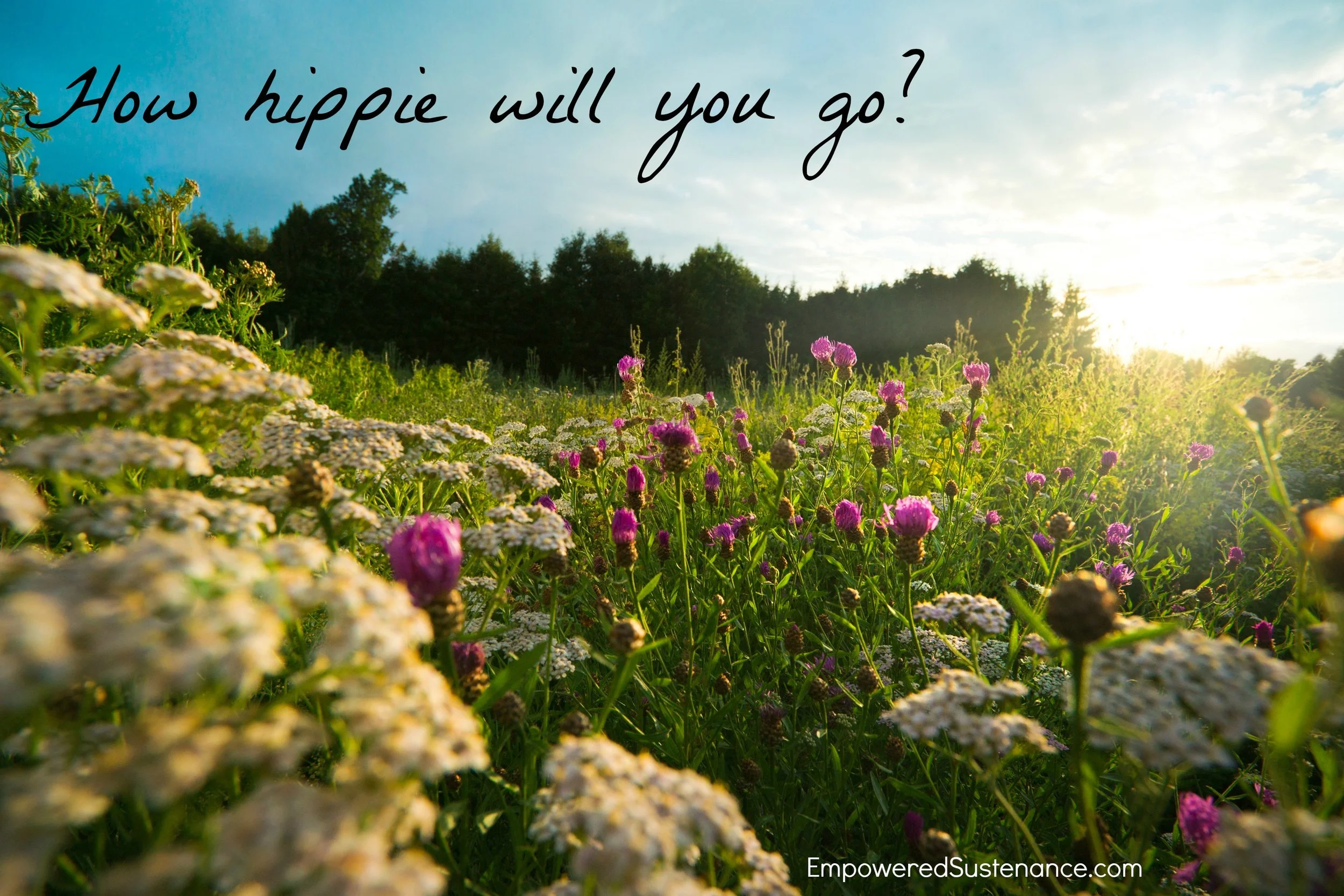 how-hippie-will-you-go.jpg