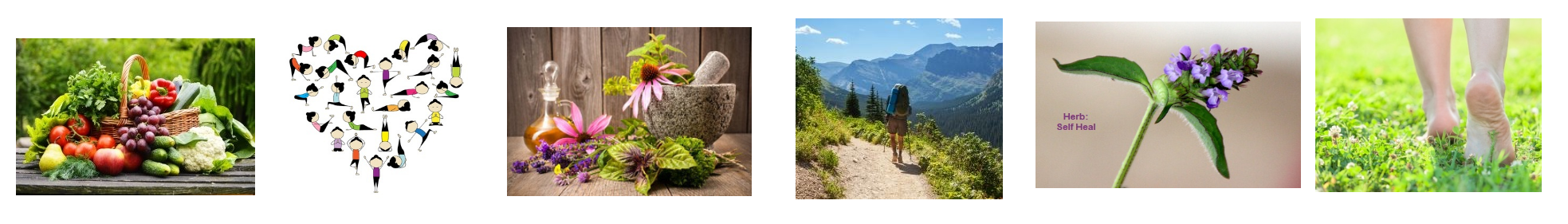 When You live and function as Nature intended, You will blossom with Vibrant Health & Longevity as Nature intended.