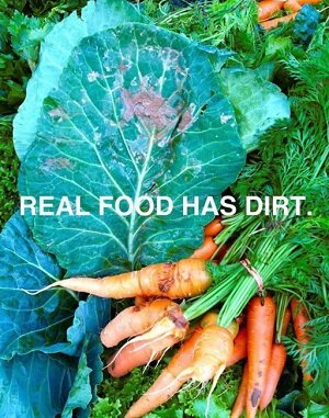 Dirt food is dirty small.jpg