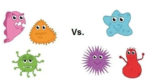 Probiotics: Rebuilding the Gut Biome from the Ground Up