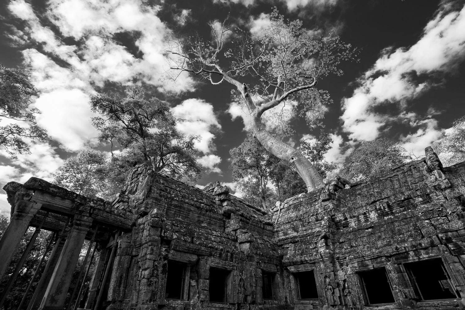 The Ta Prohm Temple