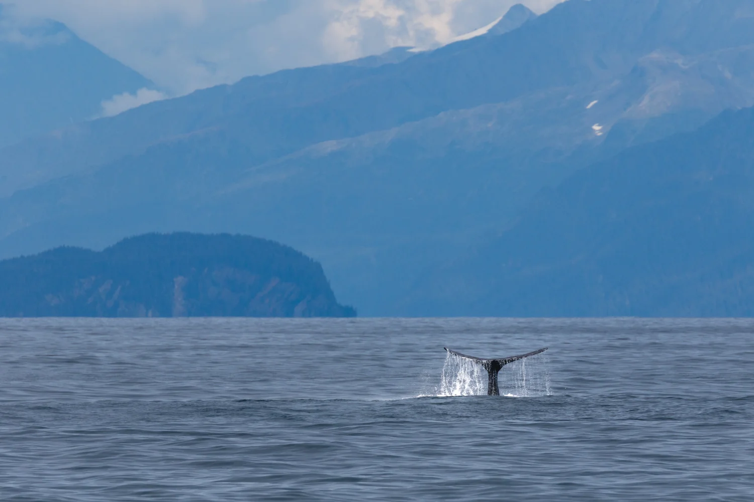 Plunge into the Blue | Kenai Peninsula