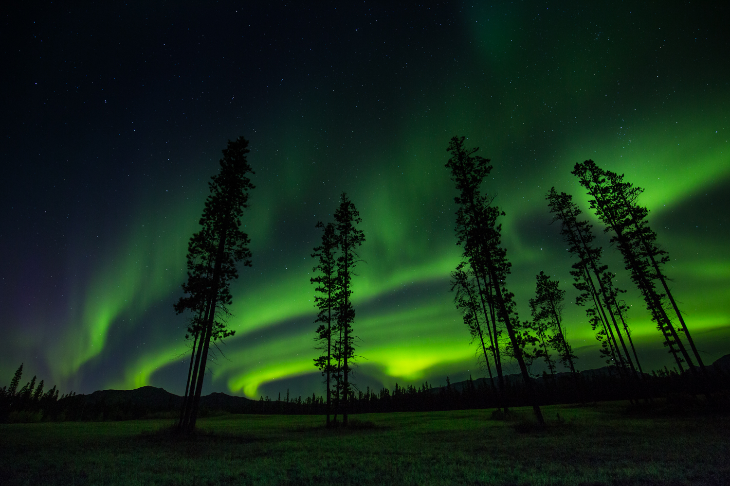 Whitehorse_Yukon Territory _4O3A8476.jpg