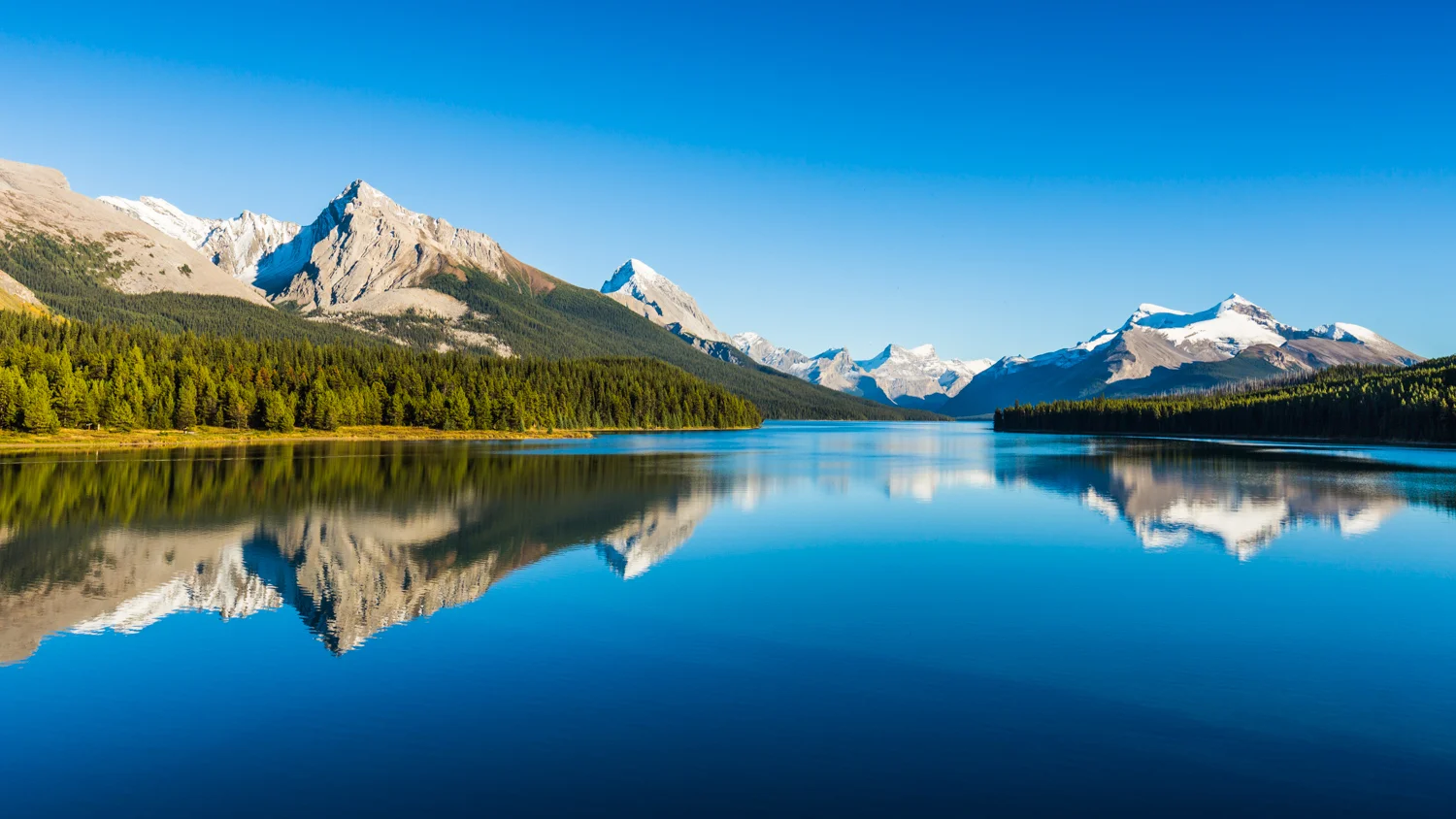Maligne Lake_Jasper National Park _4O3A9931.jpg
