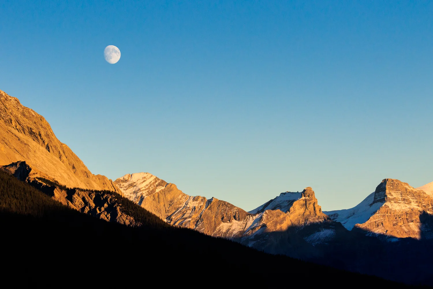 Maligne Lake_Jasper National Park _0D4A5106.jpg