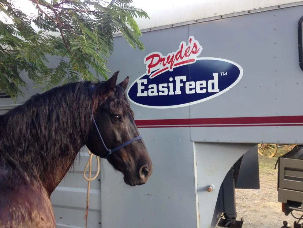 Leasa Stephens Report - May/June 2014