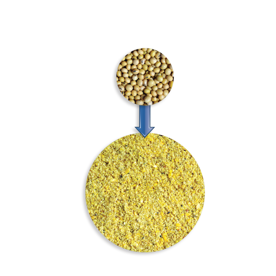 Protein_graph.png