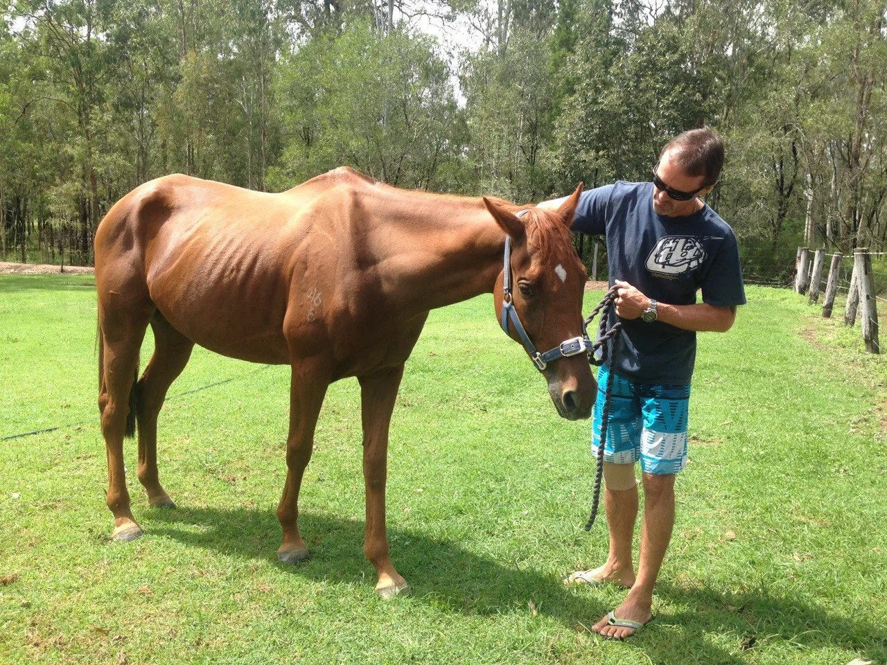 What an amazing turn around after 2 months with EasiResponse and Rebuild