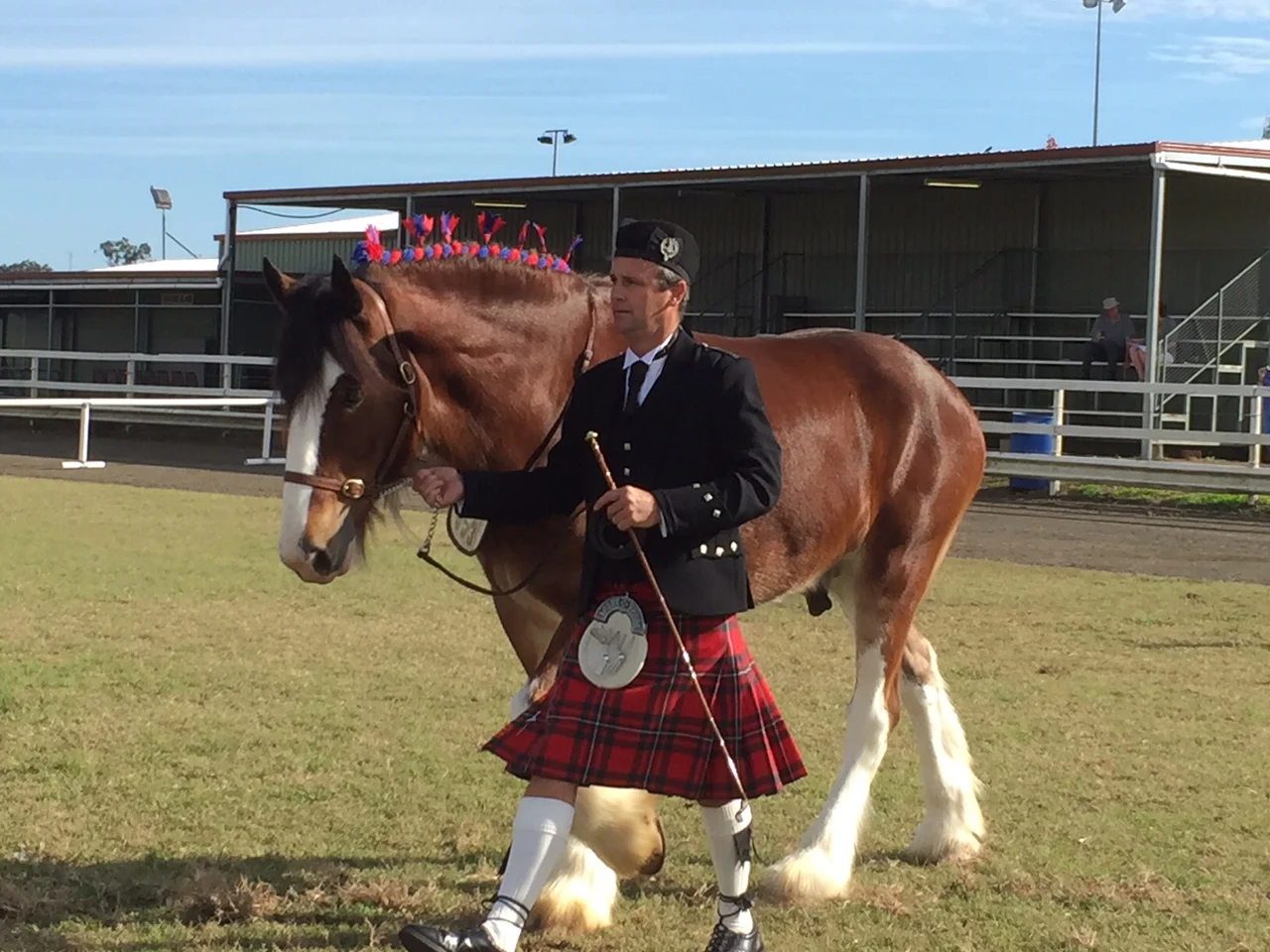 Anita had a blast at the Scenic Rim Clydesdale Spectacular!