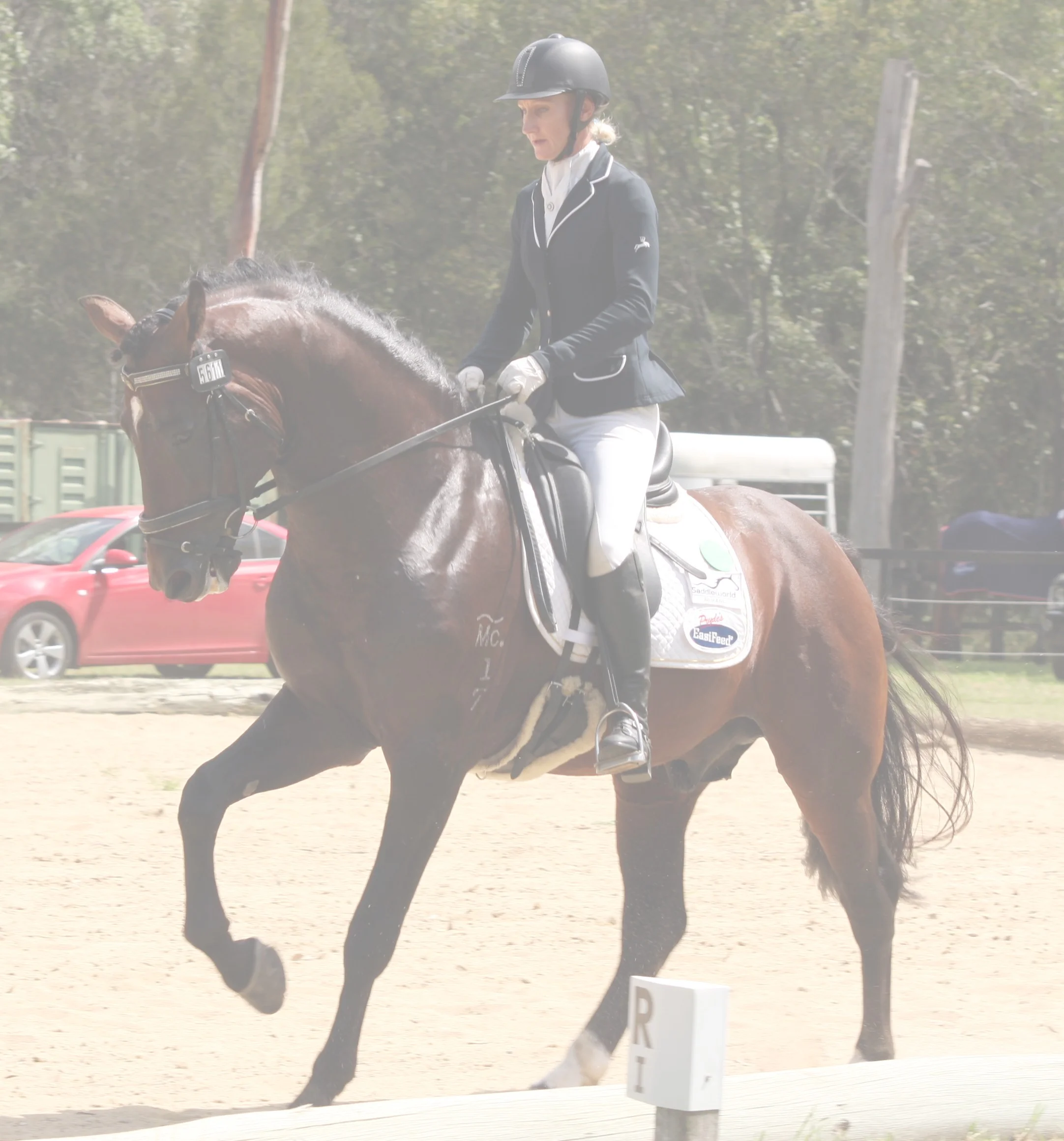 March update from Tammy Stephens