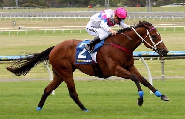 Famous Seamus winning the Kevin Heffernan at Sandown on 14 November 2015 - Fed on EasiPerformance