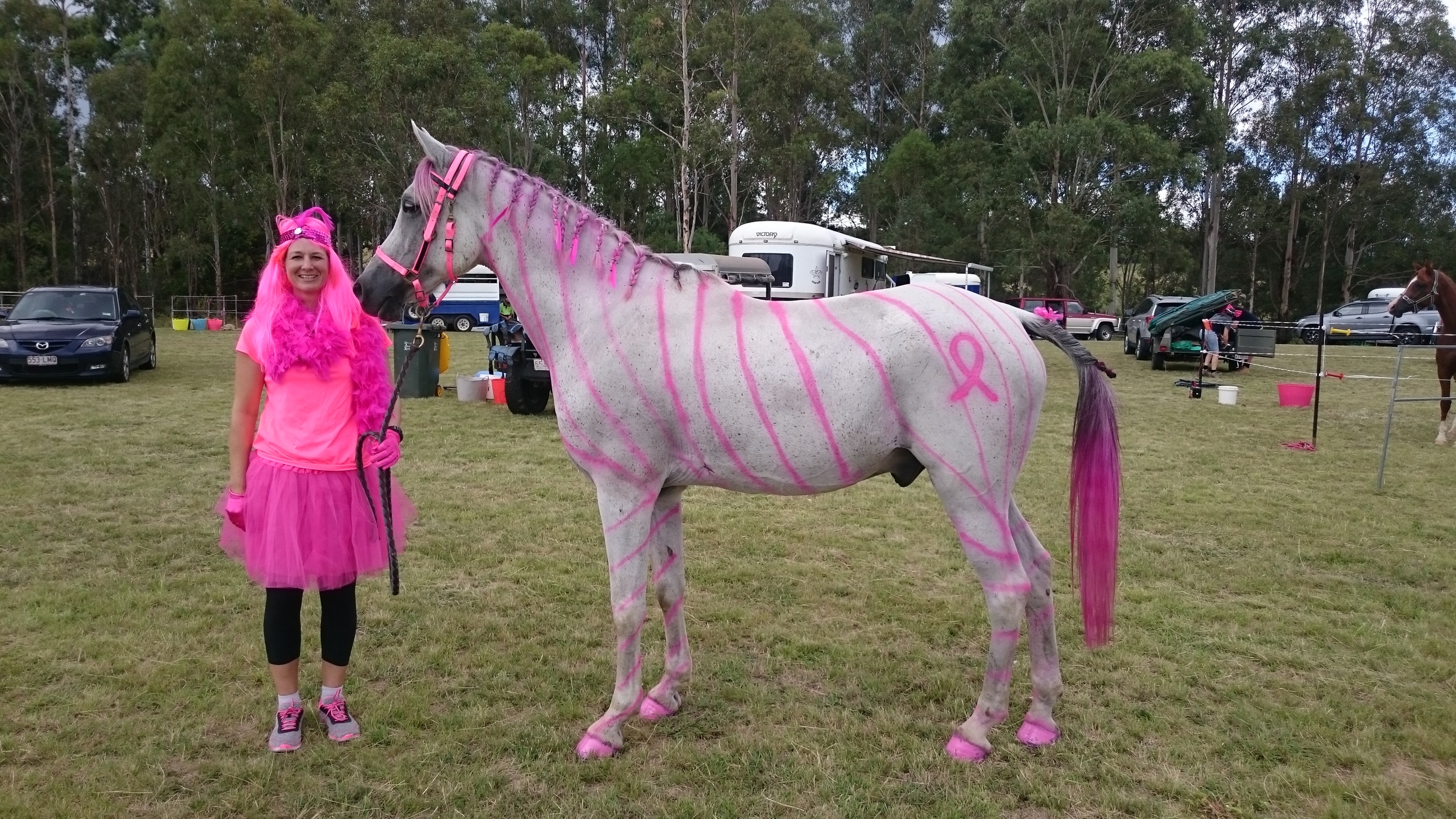 El SAREM GLYDE - His previous owner passed away because of cancer and the family gave him to me, very special that he competed in the ride! Sabrina Stephens.
Normal
0
false
false
false
EN-AU
ZH-TW
AR-SA
/* Style Definitions */
table.MsoNormalTable
{mso-style-name:"Table Normal";
mso-tstyle-rowband-size:0;
mso-tstyle-colband-size:0;
mso-style-noshow:yes;
mso-style-priority:99;
mso-style-parent:"";
mso-padding-alt:0cm 5.4pt 0cm 5.4pt;
mso-para-margin:0cm;
mso-para-margin-bottom:.0001pt;
mso-pagination:widow-orphan;
font-size:11.0pt;
font-family:"Calibri",sans-serif;
mso-ascii-font-family:Calibri;
mso-ascii-theme-font:minor-latin;
mso-hansi-font-family:Calibri;
mso-hansi-theme-font:minor-latin;}