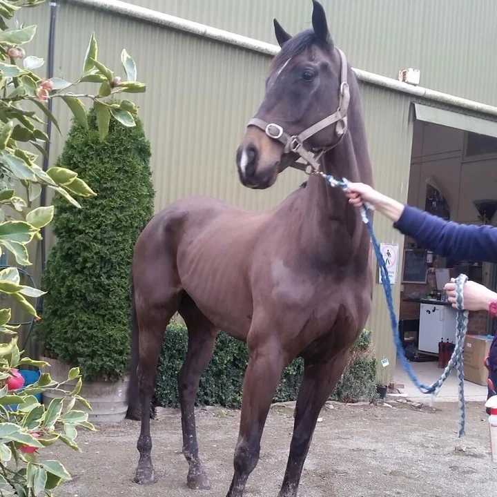 EasiSport + EasiFibre. The perfect combination