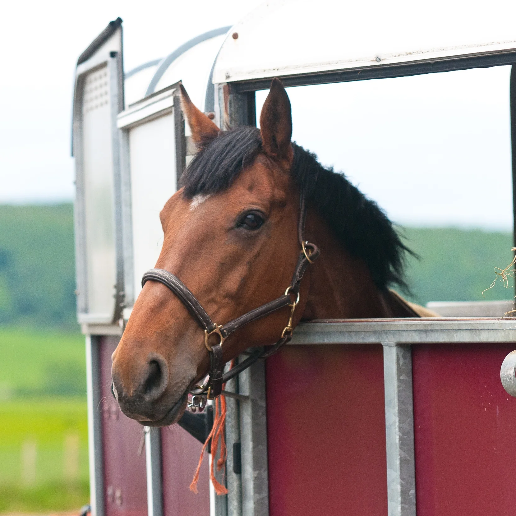 On the road again... feeding when on the move