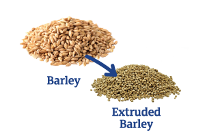 Barley-to-Extruded-Barley.png