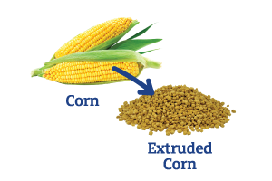 Corn-to-Extruded-Corn.png