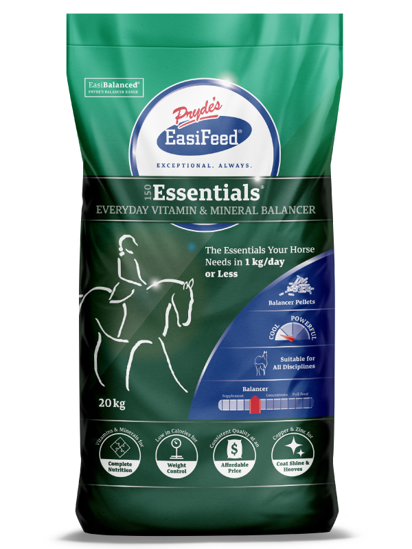 600x800px_150-Essentials-bag-Front.png