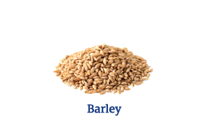 Barley_Ingredient-pics-for-web.png