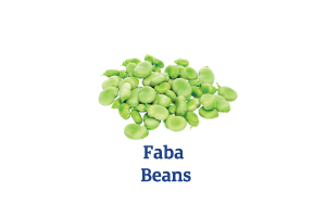 Faba-Beans_Ingredient-pics-for-web.png