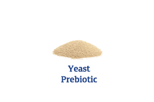 Yeast-Prebiotic_Ingredient-pics-for-web.png