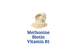 Methionine-Biotin-Vitamins-B1_Ingredient-pics-for-web.png