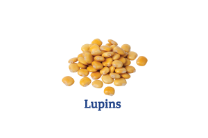 Lupins_Ingredient-pics-for-web.png